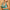 Collana Timeless Links